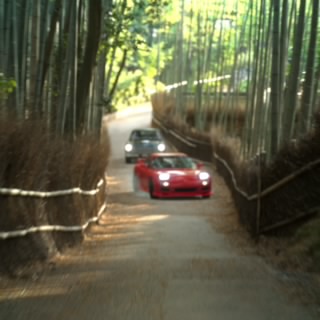 A. Drifter