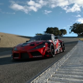 Lele_Type_79