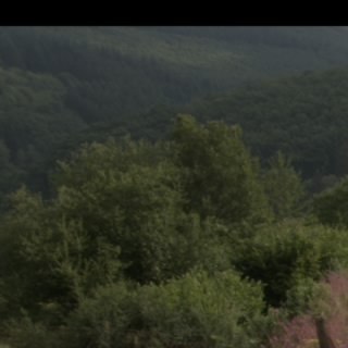 Kracozyaba