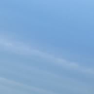 爱摸鱼的阿莫