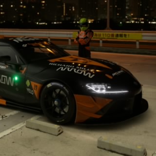patte_noire_GT