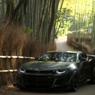 Vaniko