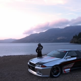 N. Viper