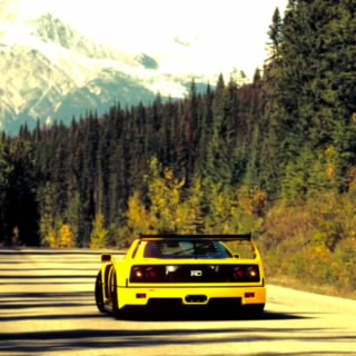 StancyBoi420