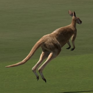 Mutumbeye