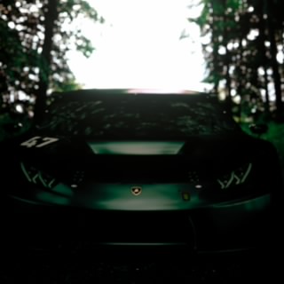  F1Goat($)