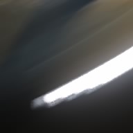 白猫