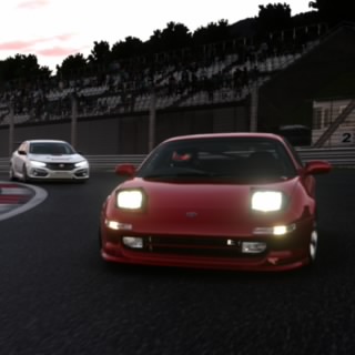 rice247