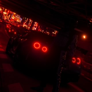 estershot