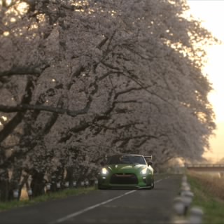 芋の煮物