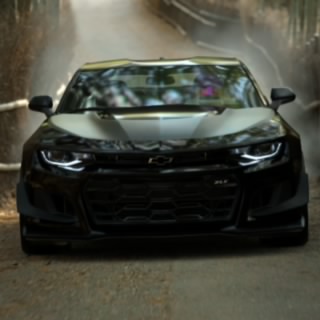 Monker