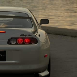 G-PIG87