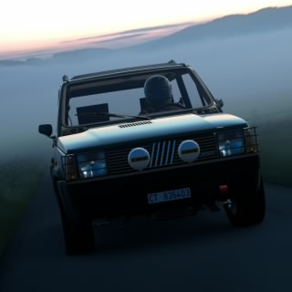 Mauri