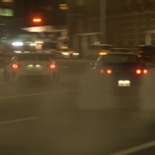 夜叉猫