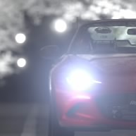 Speedy