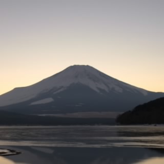 阪道美琉
