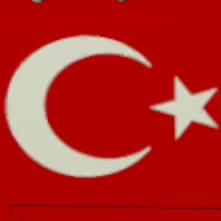 C.Dinç
