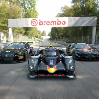 M.Verstappen