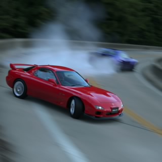 The Stig