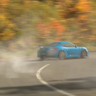 Moita_025