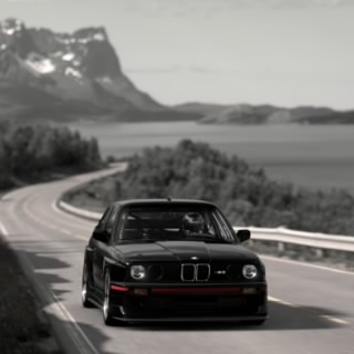 flxmn_GT