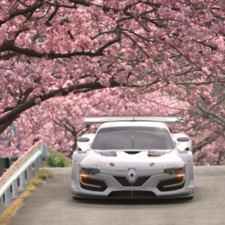 つな