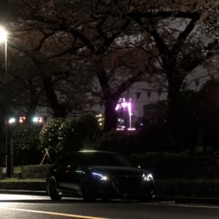 miya_cx5
