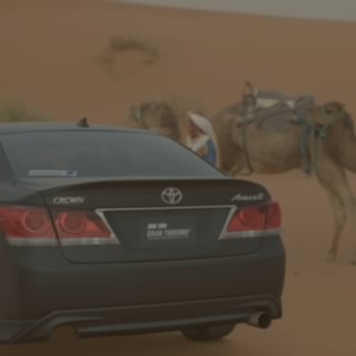 الساعدي