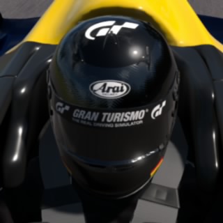 The Stig