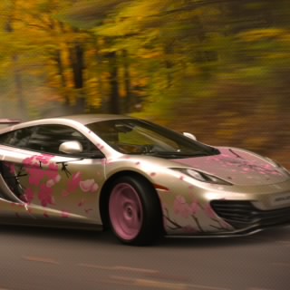 CherryBlossomMan