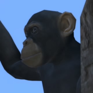 ReV