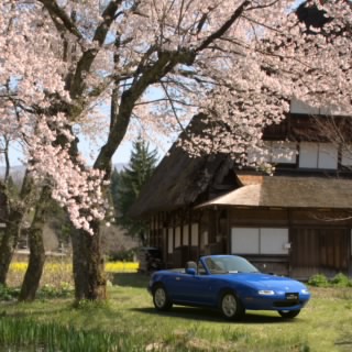 hachi88PN