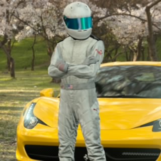 The stig