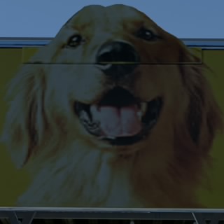 やつはし(生)