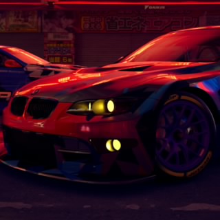TNR_WicK 