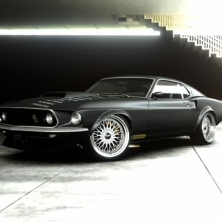 Alphadog_44_ls