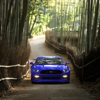 Kickin' Asphalt