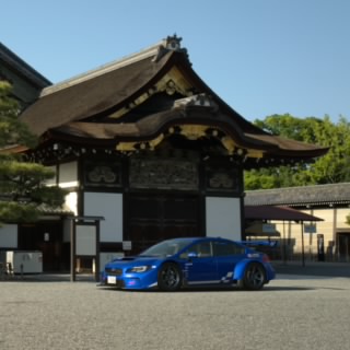青花 剣