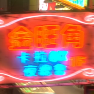 领主豆龙