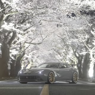 KoDiLoCo
