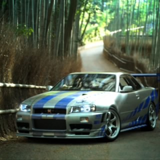 PulgaKing20