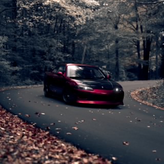IdyllSRS