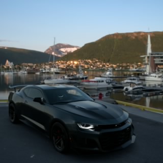 Mogli