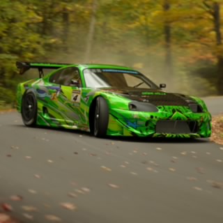 TLR_Sillo