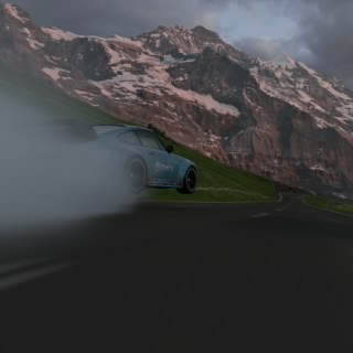 Dimsko
