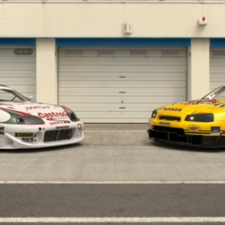 d13s3l