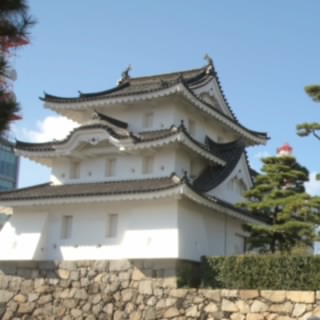 このげん