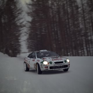 Rotary lover