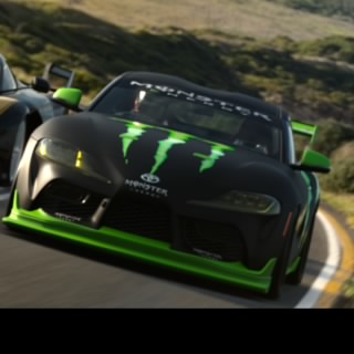 FahrerTier