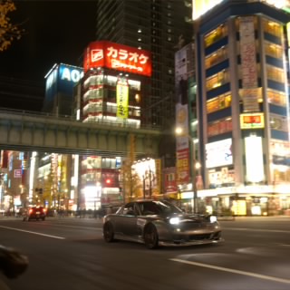 Goose